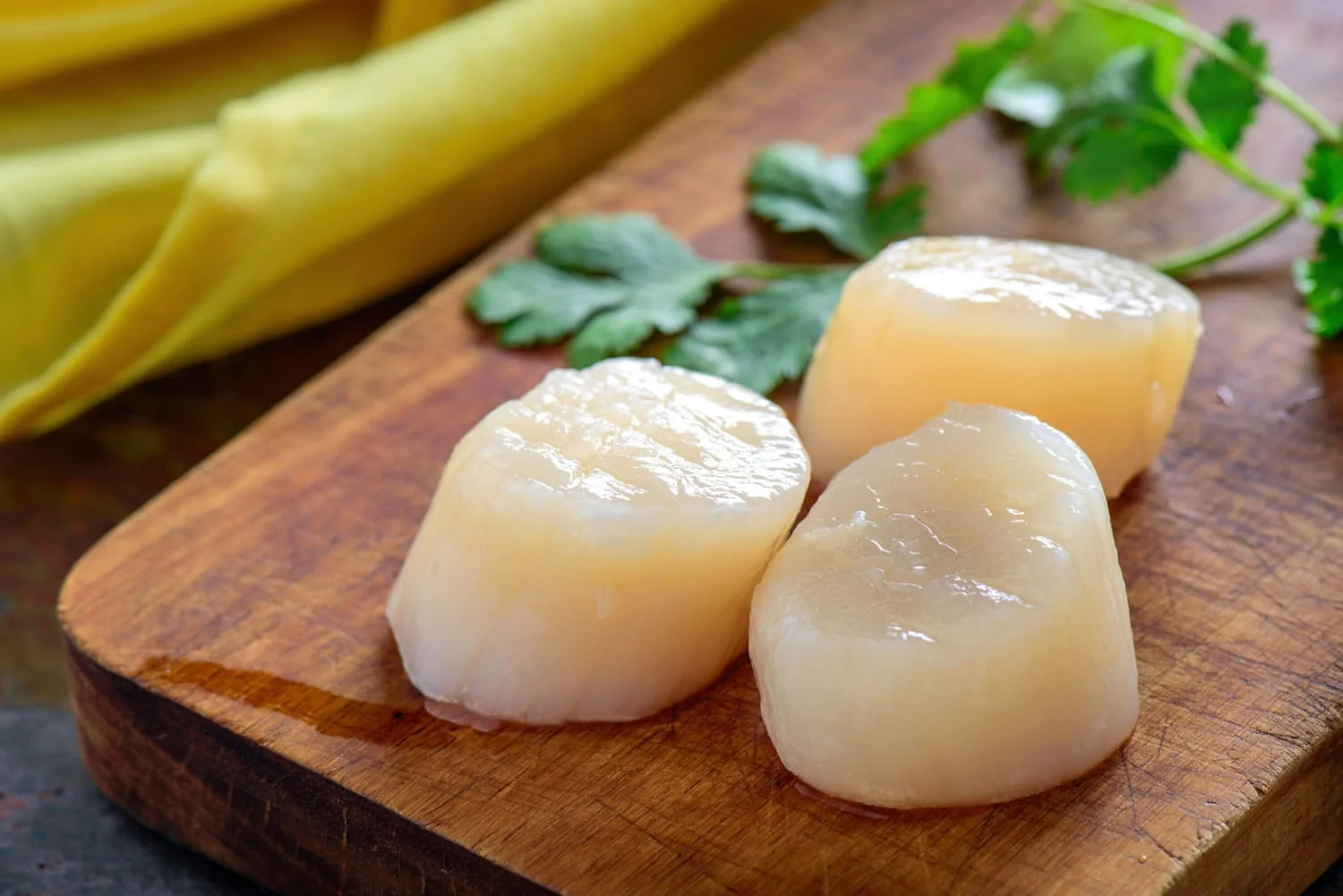 can you eat scallops raw