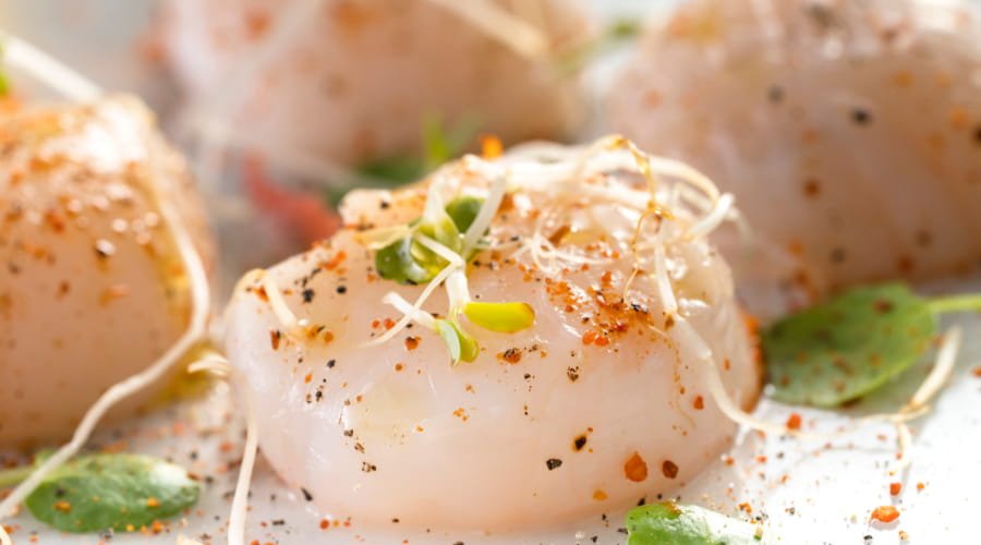 crudo recipe for raw scallops