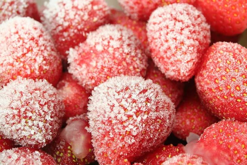 can you dehydrate frozen strawberries