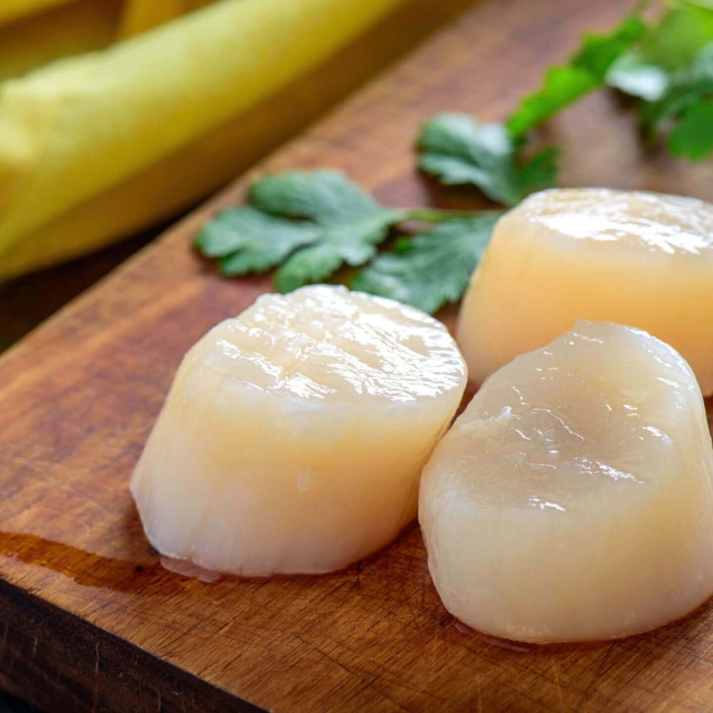 Can You Eat Scallops Raw? Surprising Things You Never Knew