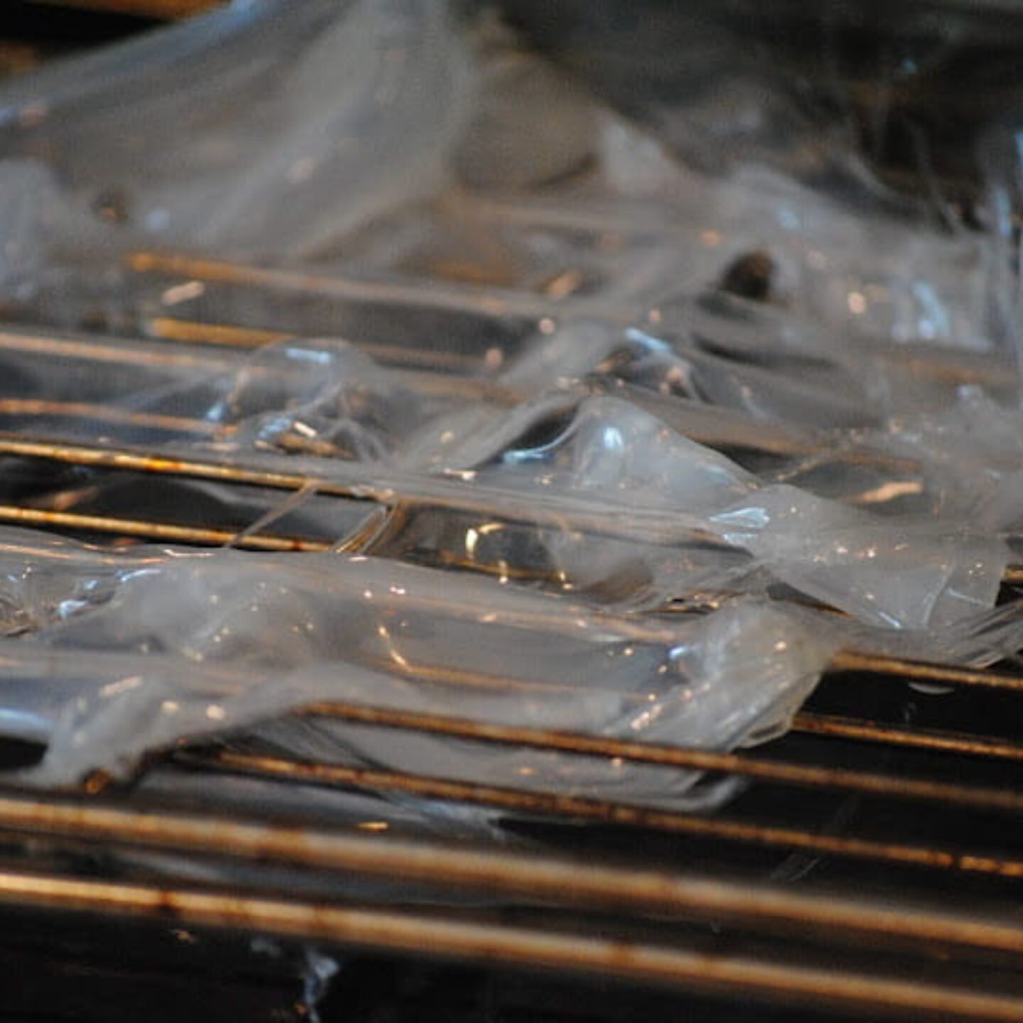 Melted Plastic In Oven Can I Still Eat Food? Things You Should Know