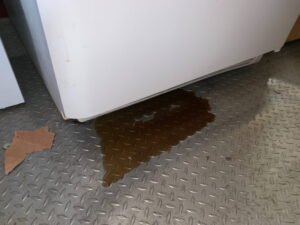 Oven Leaking Brown Liquid? Possible Causes & Fixes - Evil Chef Mom