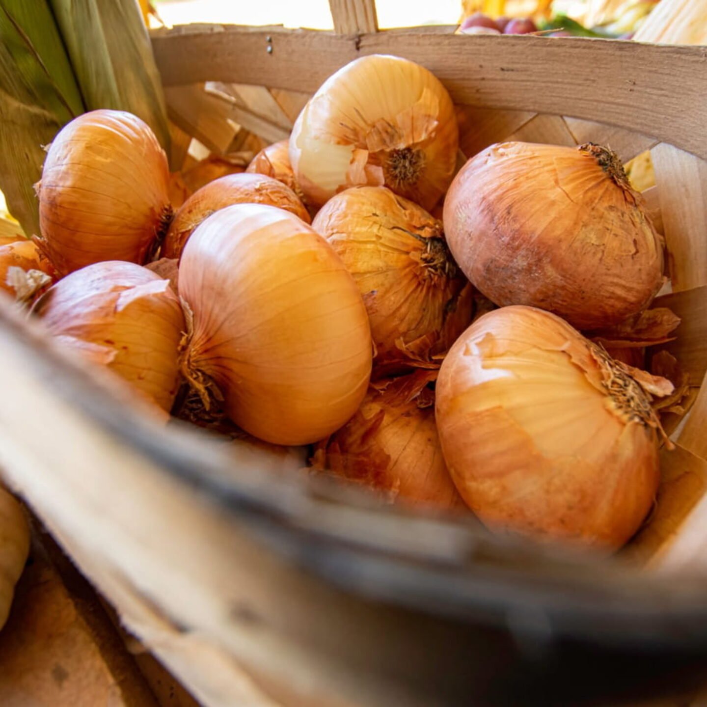 Vidalia Onions Substitute – Your Best Options