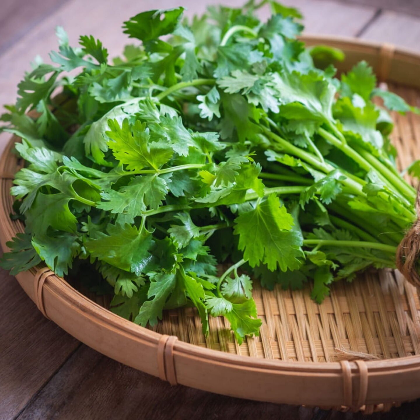 How To Keep Cilantro From Going Bad? Practical Tips To Know