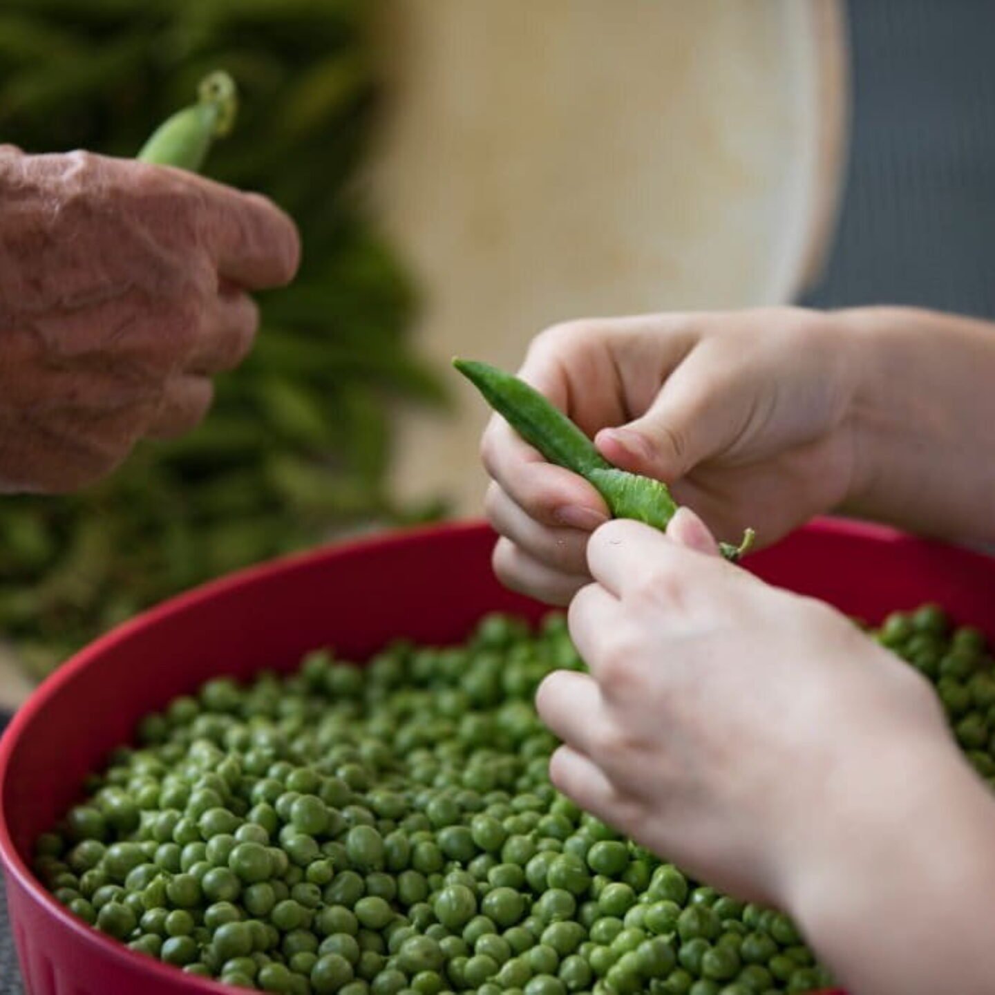 Le Sueur Peas Vs Regular Peas - Know The Difference Between The Two!