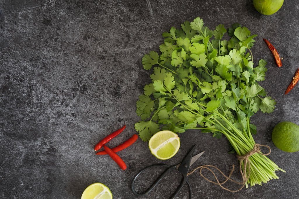 what to do with cilantro before it goes bad