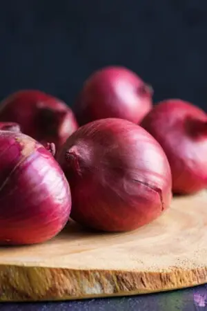 Little-Known Best Spanish Onion Substitute For Your Recipes