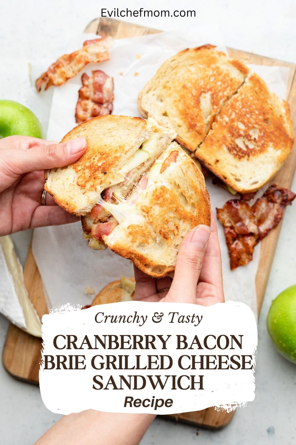 Cranberry Bacon Brie Grilled Cheese Sandwich Recipe