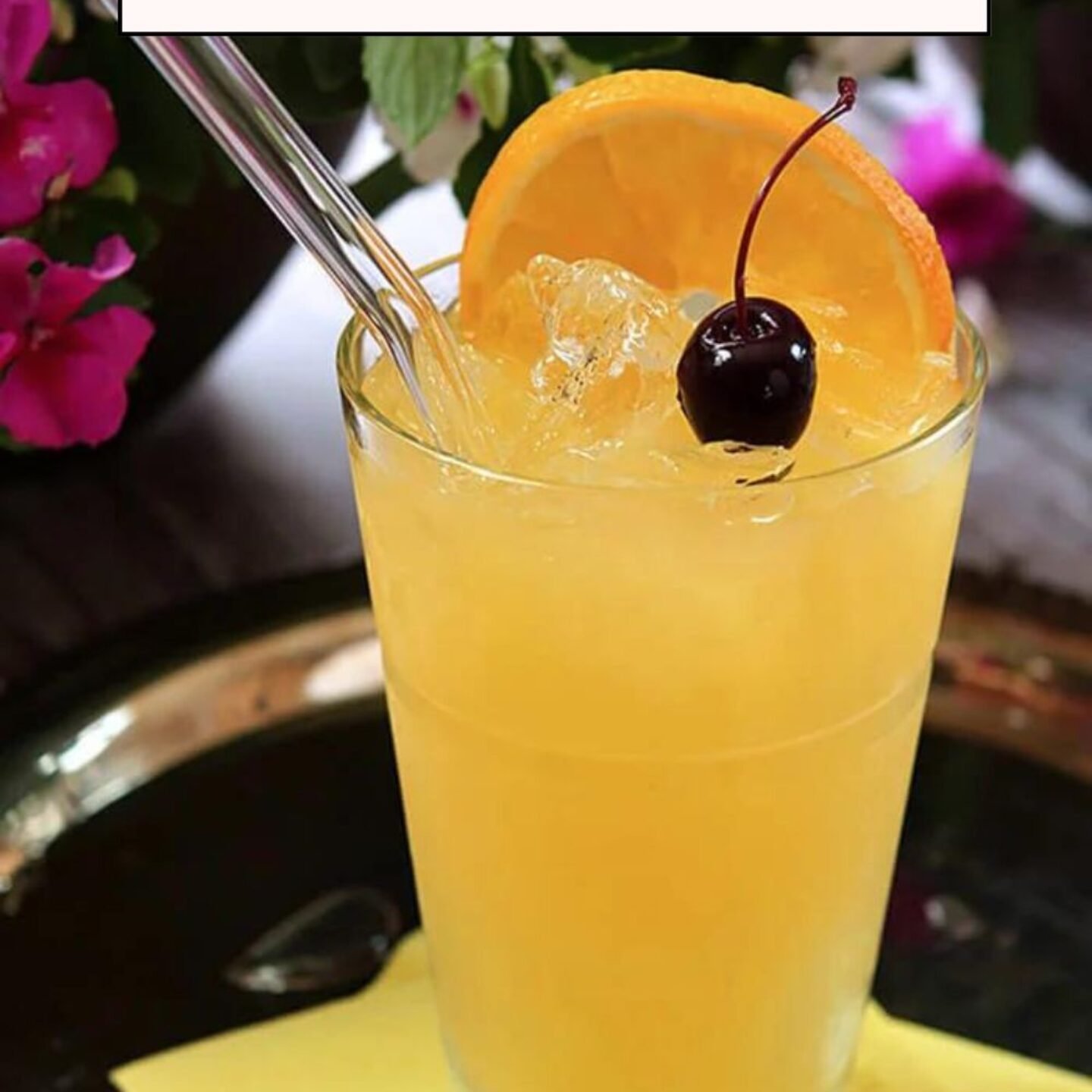 Black-Eyed Susan Cocktails Recipe