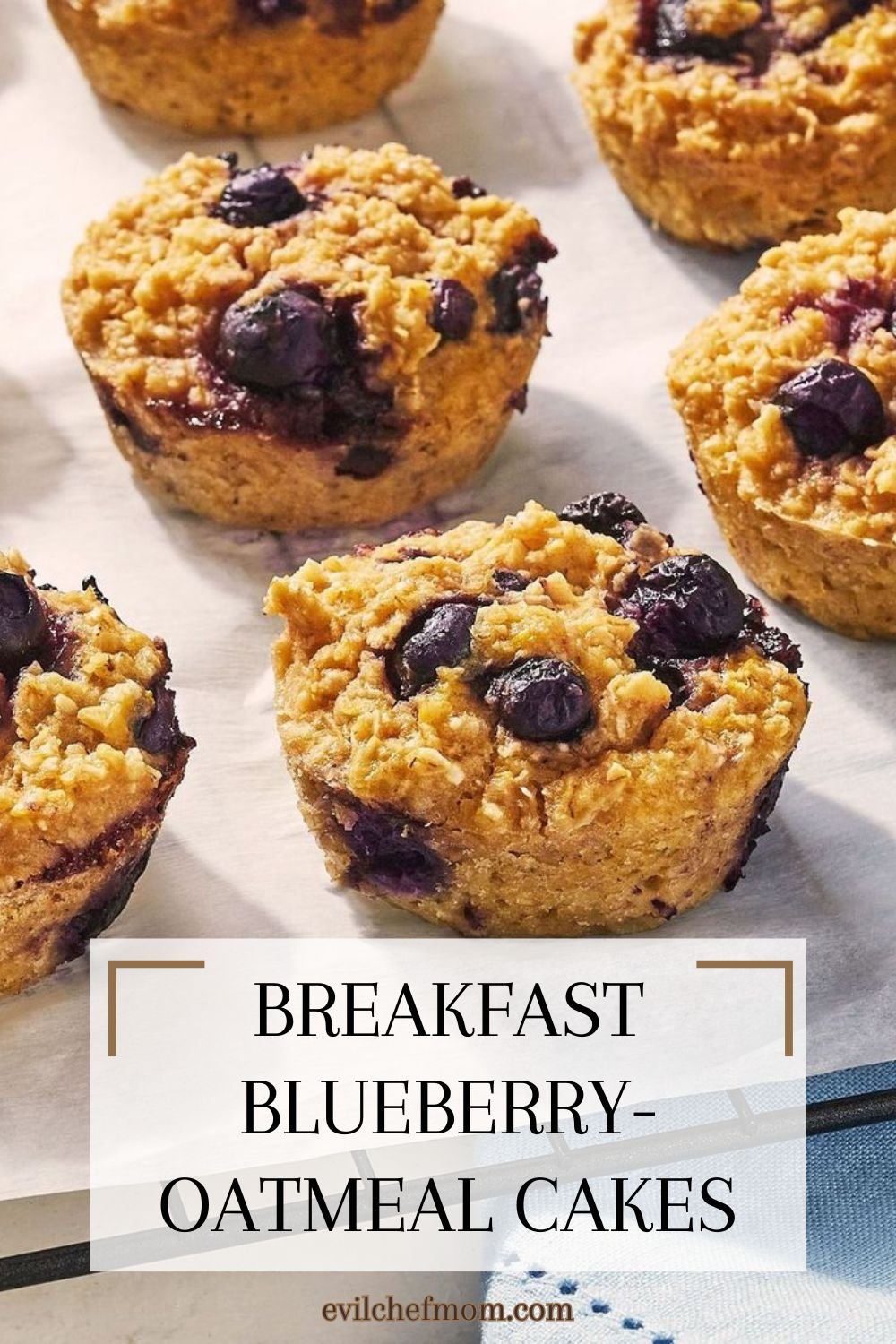 Breakfast Blueberry-Oatmeal Cakes