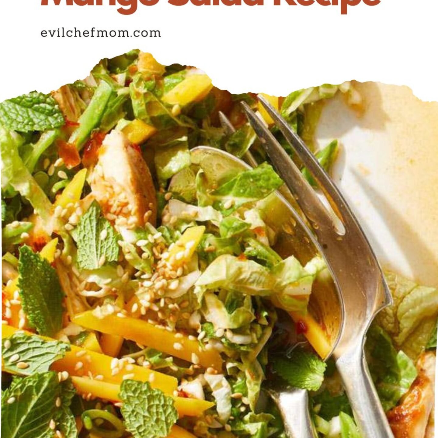 Crunchy Chicken & Mango Salad Recipe