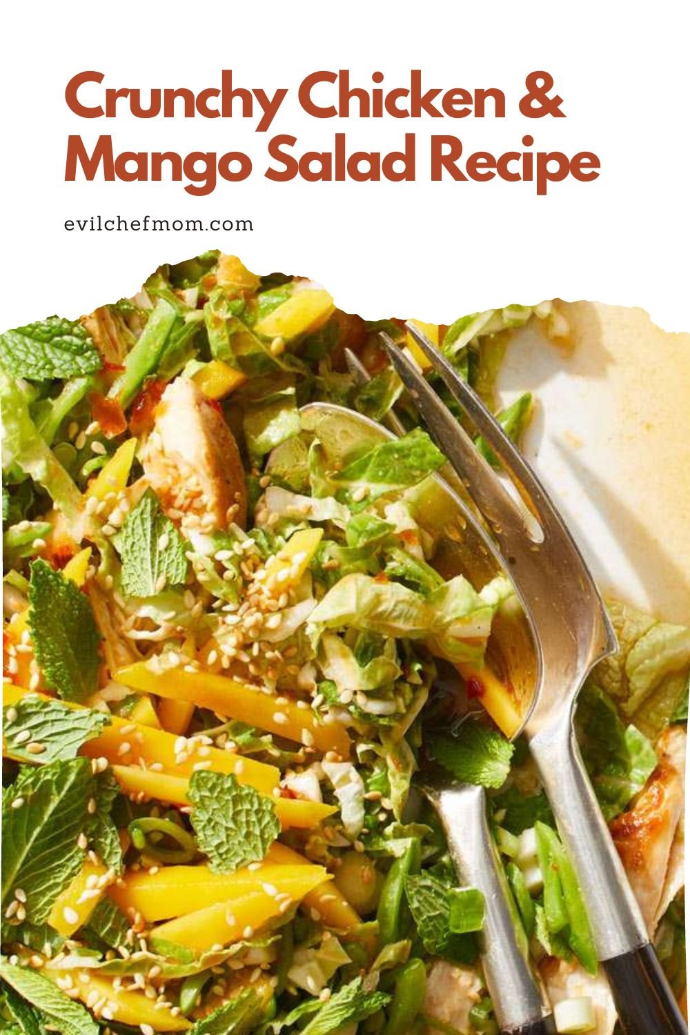 Crunchy Chicken & Mango Salad Recipe