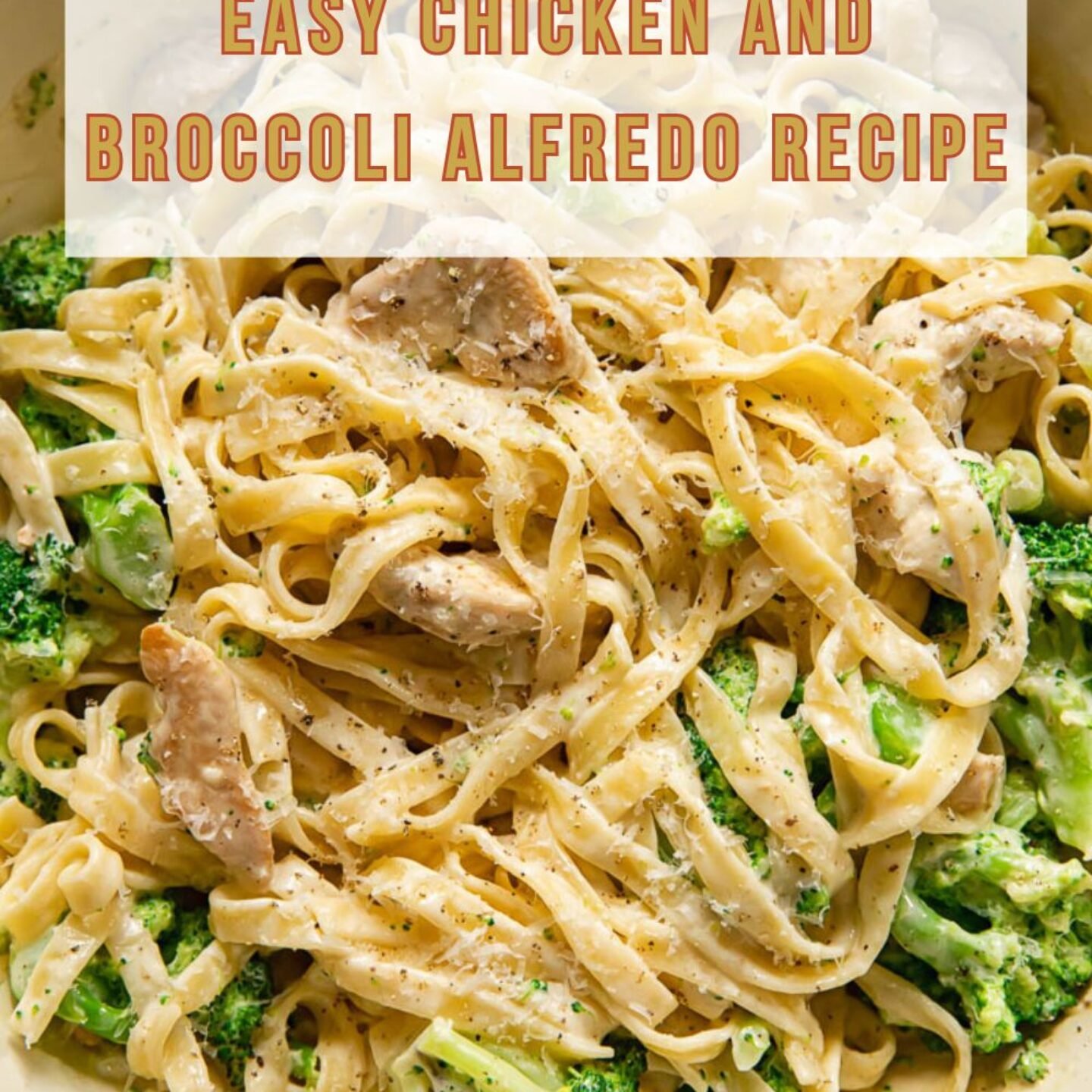 Easy Chicken and Broccoli Alfredo Recipe
