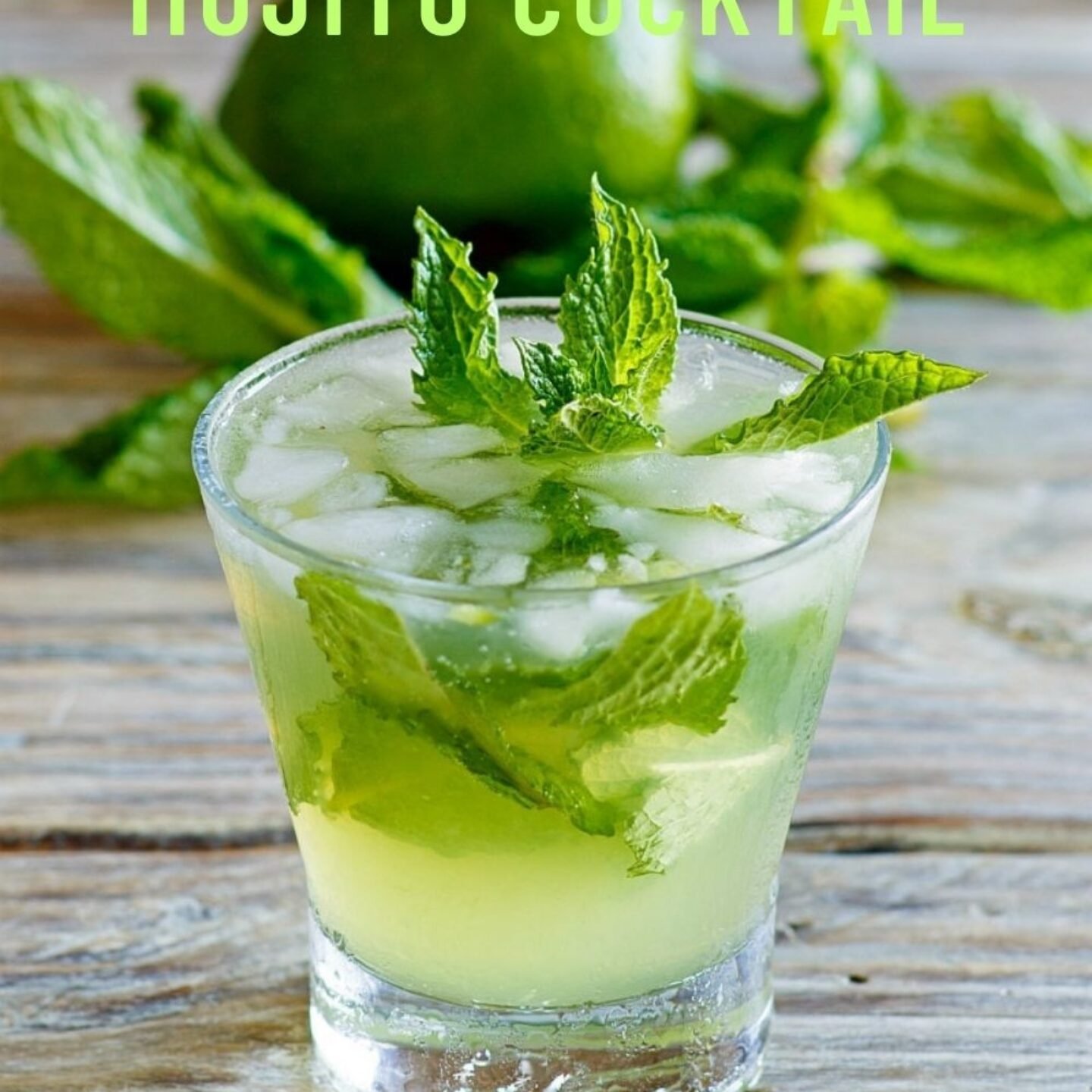 Fresh Mint Mojito Cocktail
