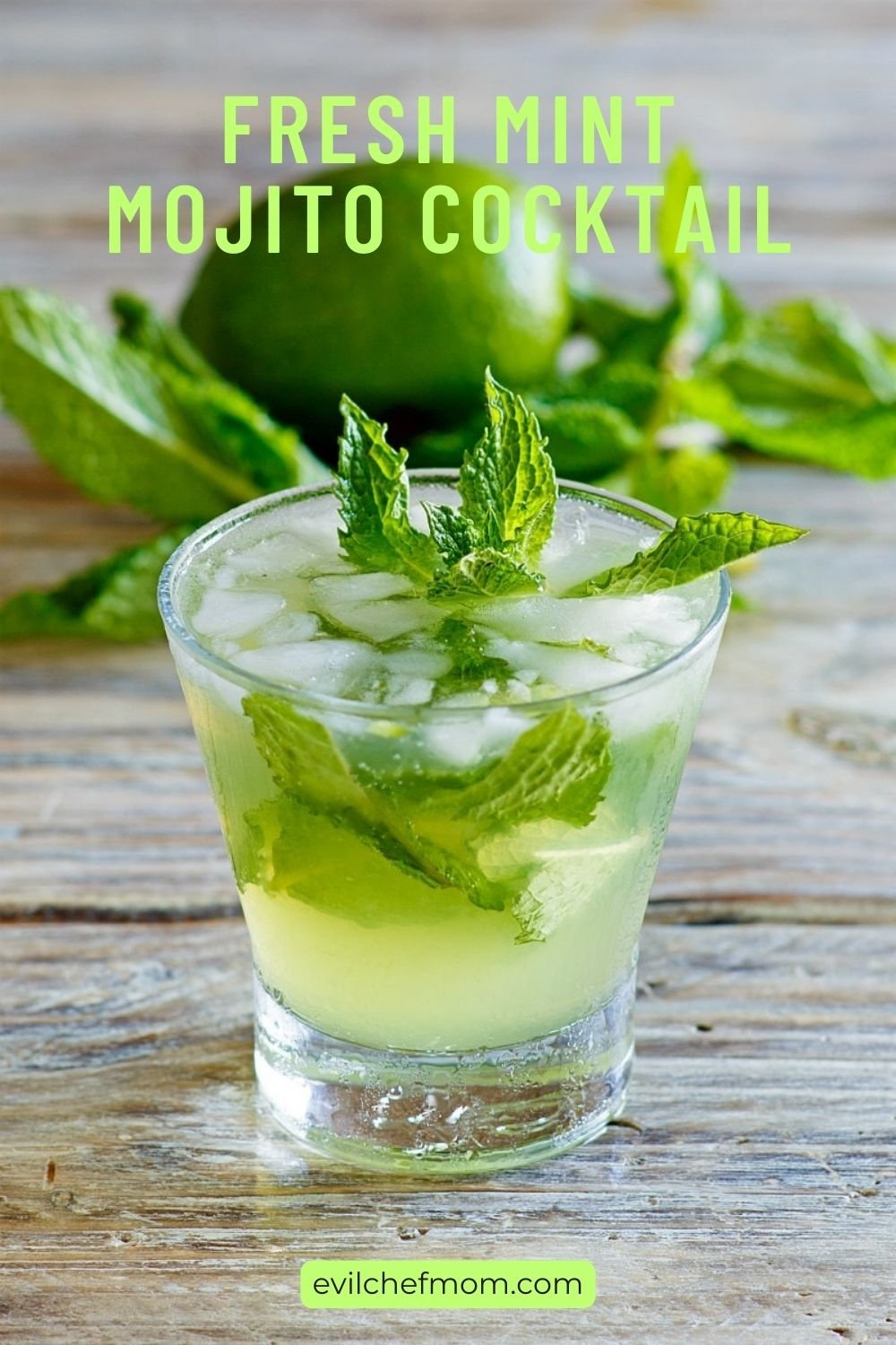 Fresh Mint Mojito Cocktail