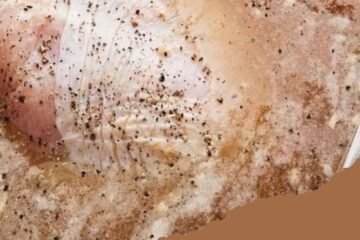 Out of This World Turkey Brine