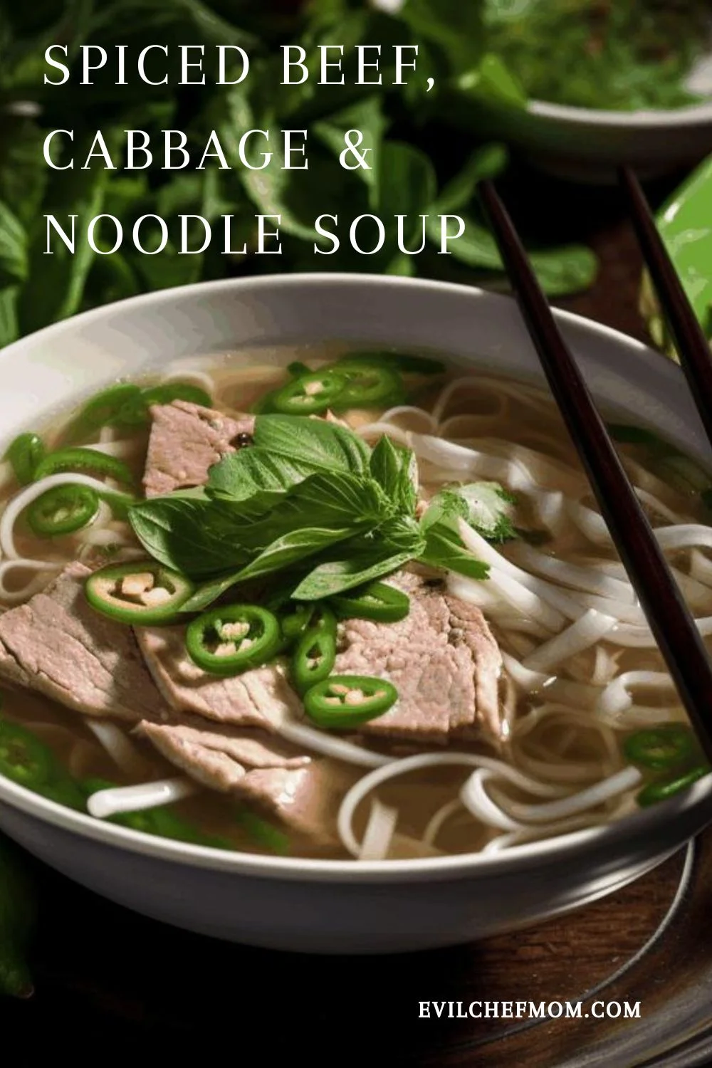Spiced Beef, Cabbage & Noodle Soup