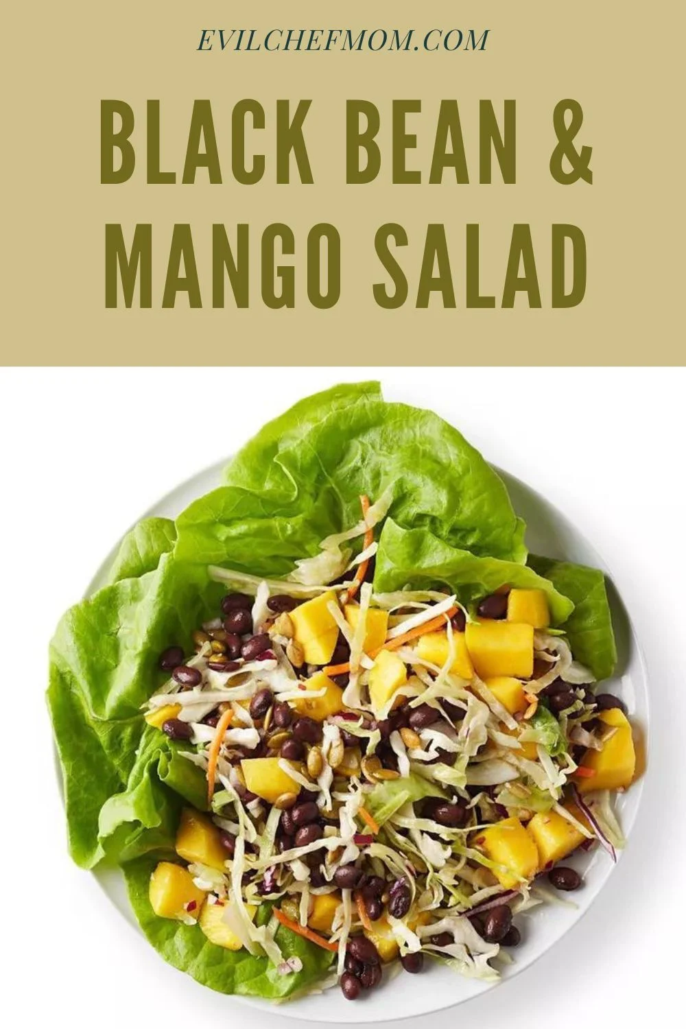 Black Bean & Mango Salad