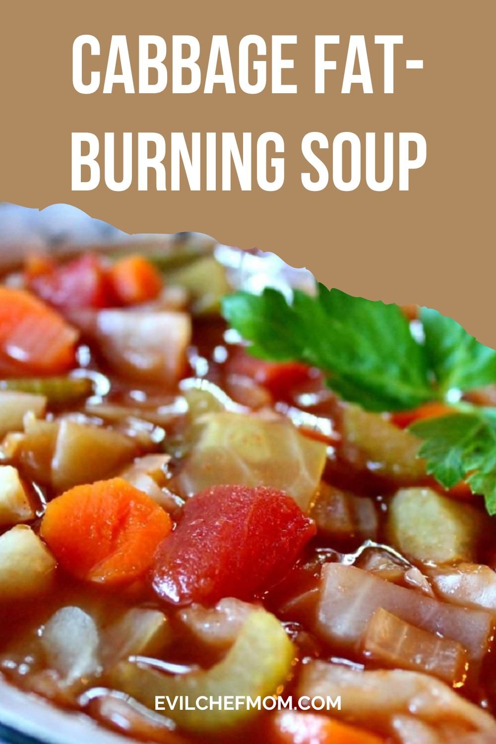 Cabbage Fat-Burning Soup