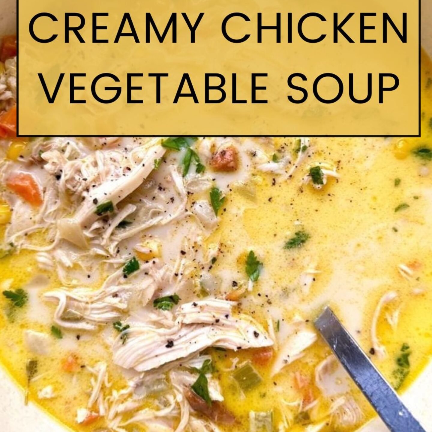 Creamy Chicken Vegetable Soup
