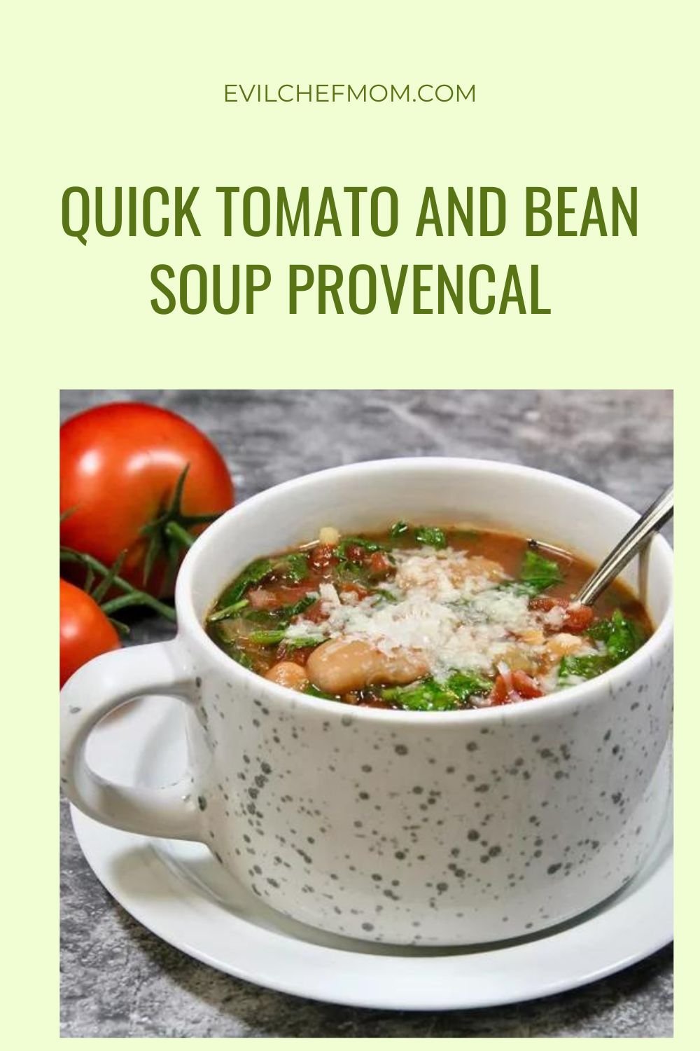 Quick Tomato and Bean Soup Provencal