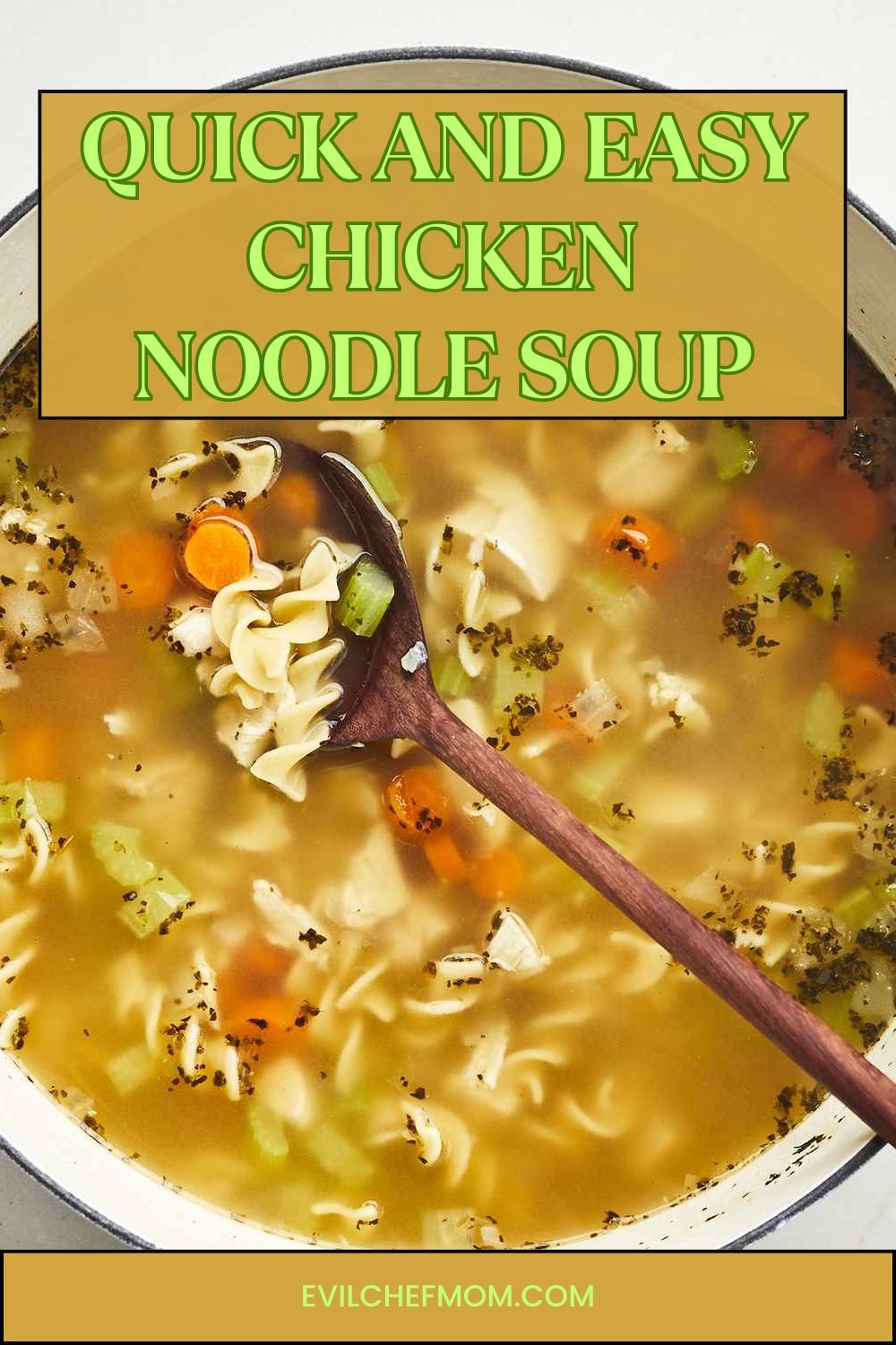 Quick and Easy Chicken Noodle Soup