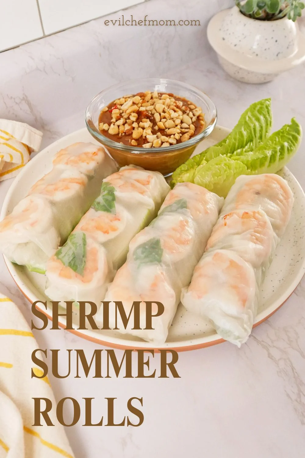 Shrimp Summer Rolls