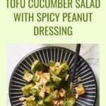 Tofu Cucumber Salad with Spicy Peanut Dressing