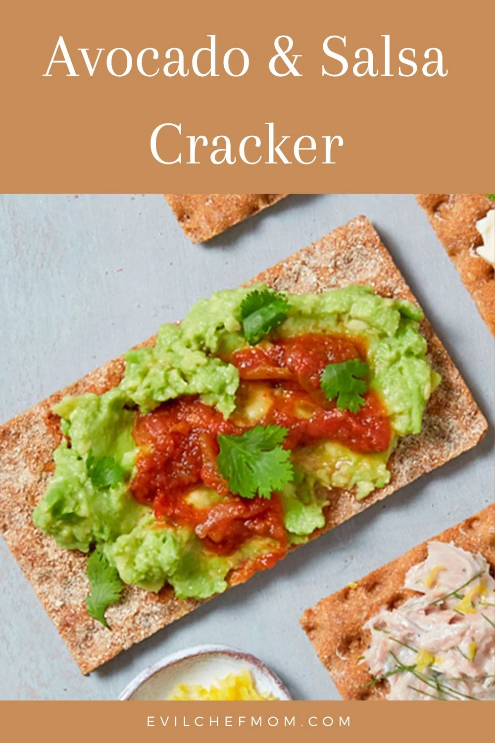 Avocado & Salsa Cracker