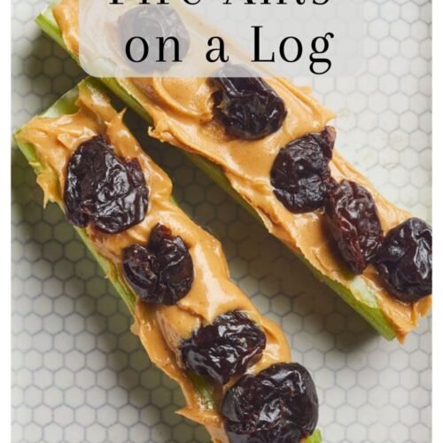Fire Ants on a Log