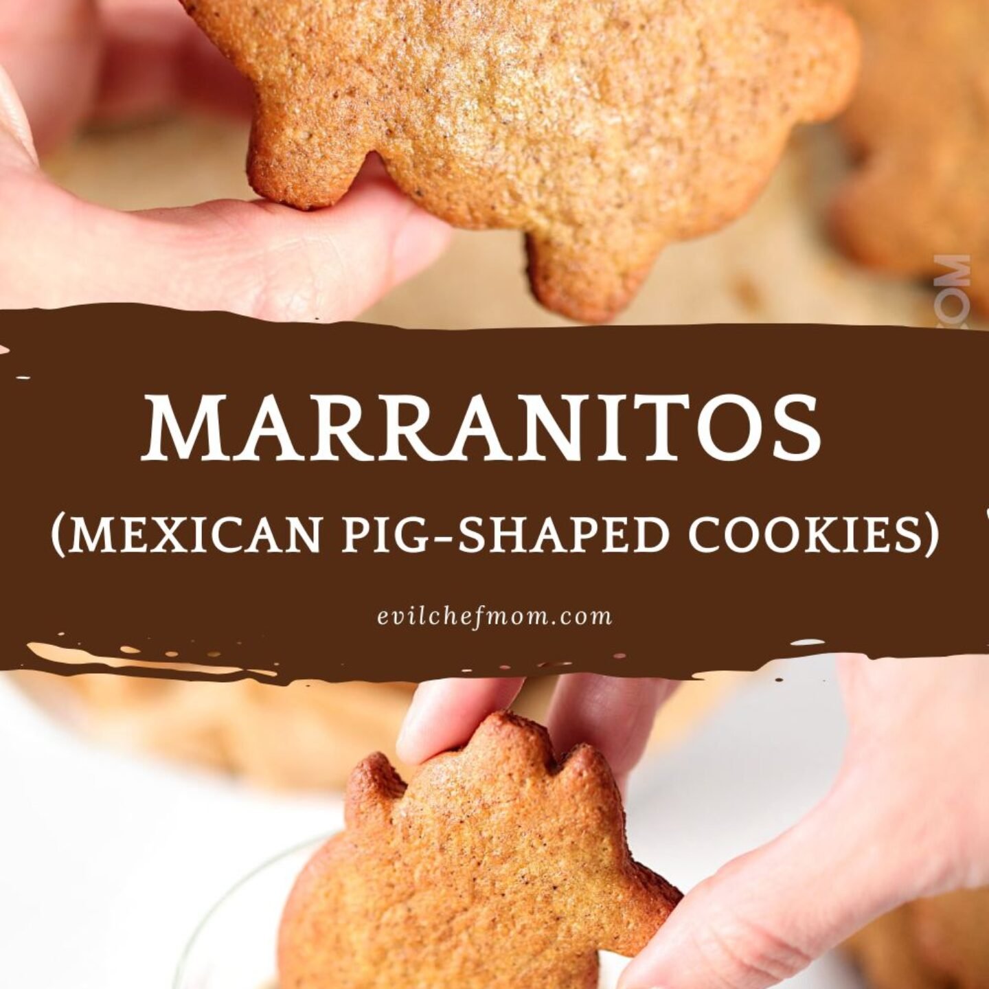 Marranitos (Mexican Pig-Shaped Cookies)