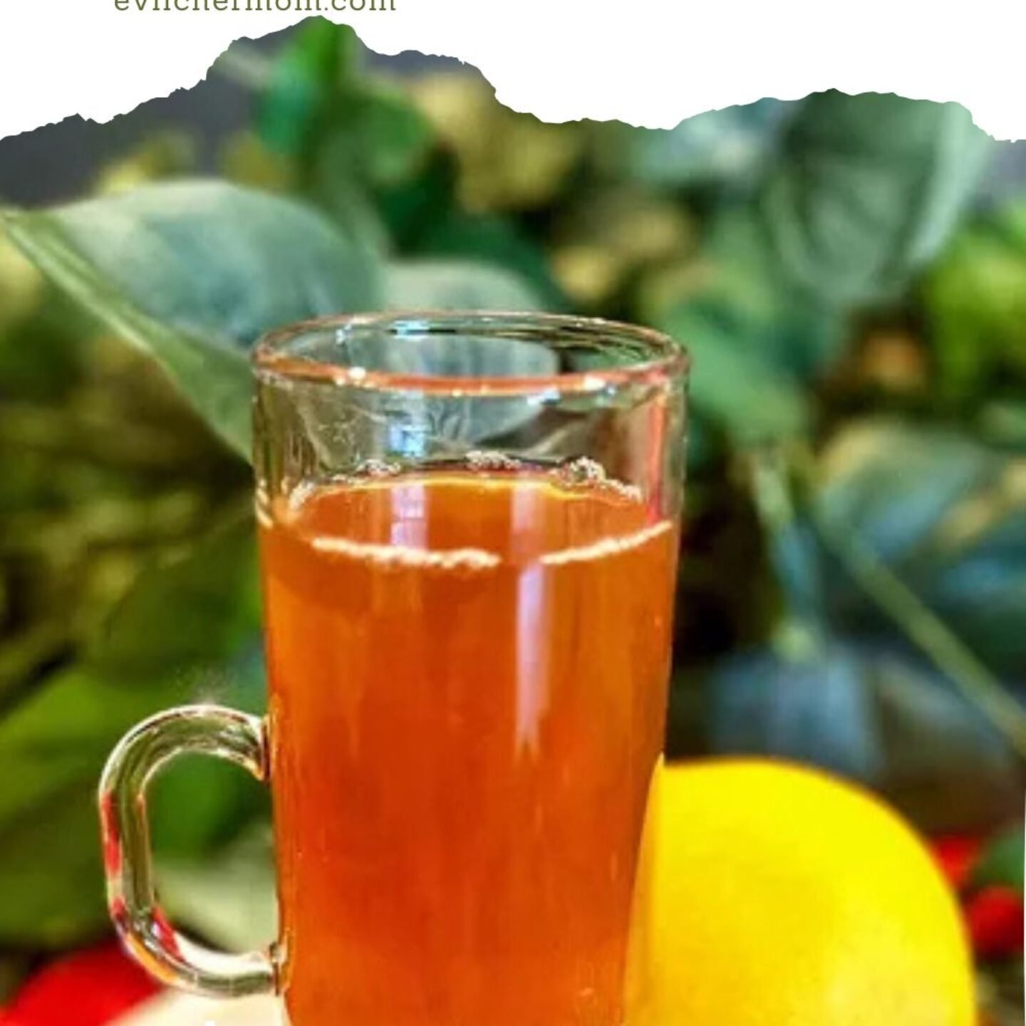 Te de Canela (Cinnamon Tea)