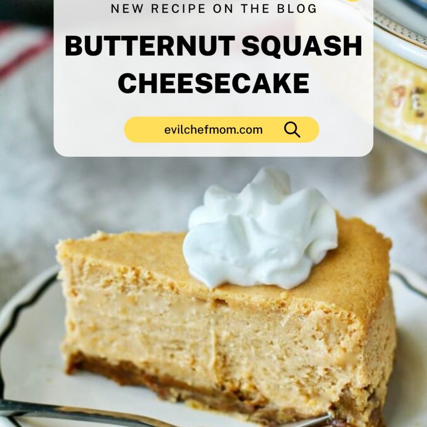 Butternut Squash Cheesecake