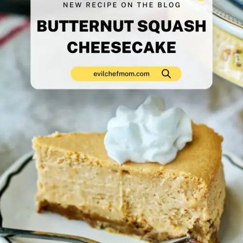 Butternut Squash Cheesecake