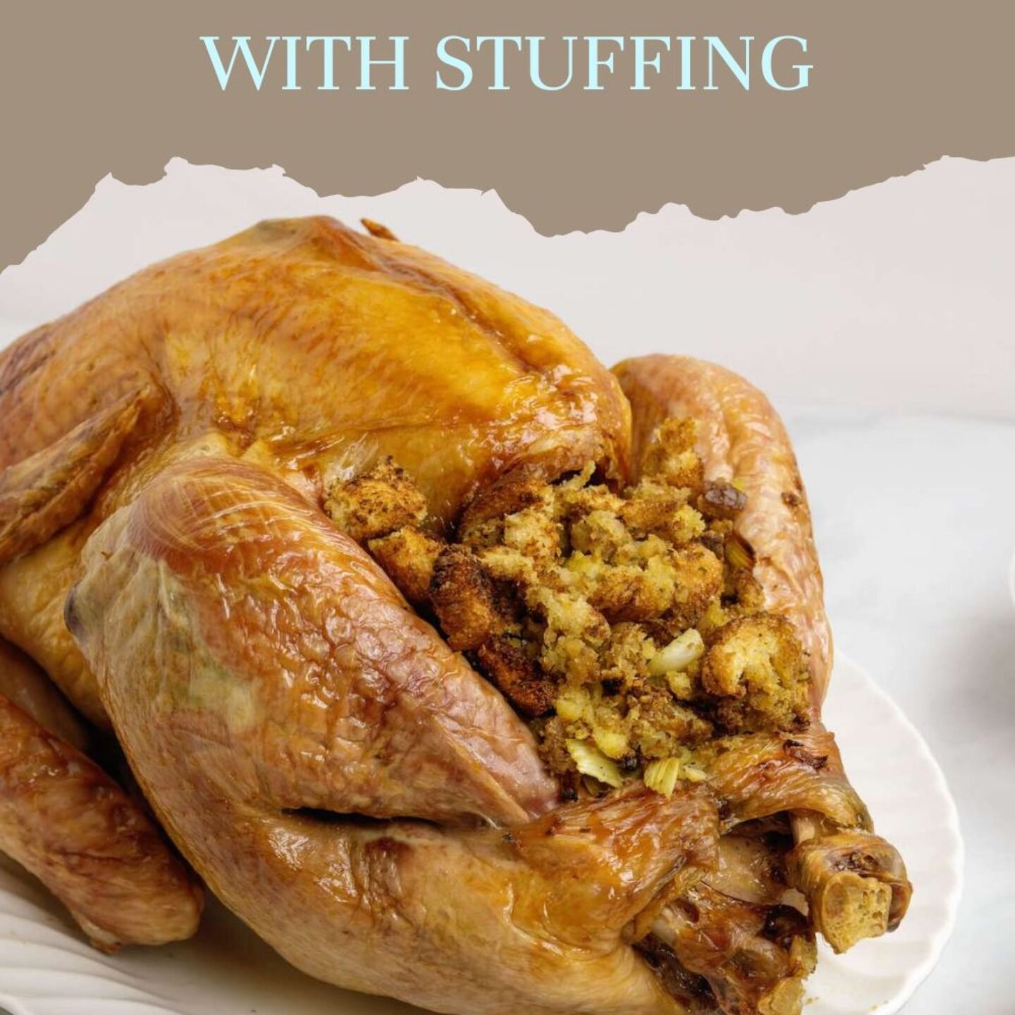 Easy Beginner’s Turkey with Stuffing