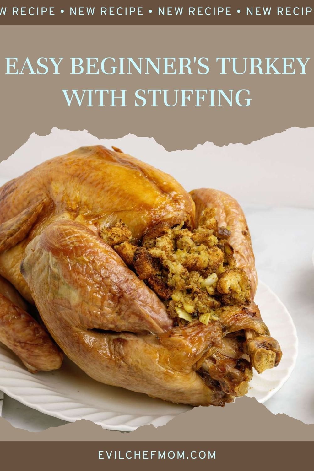 Easy Beginner's Turkey with Stuffing