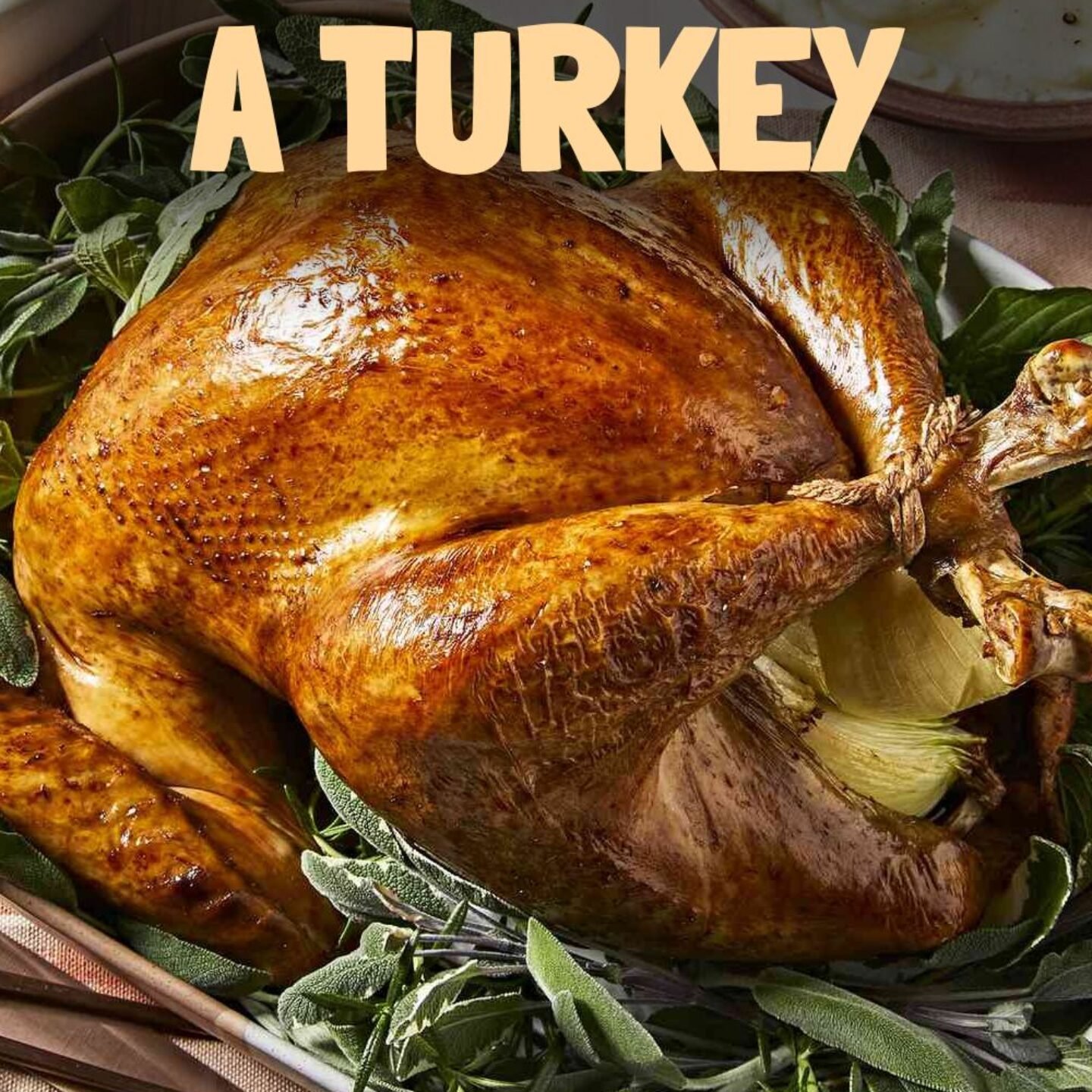 How to Cook a Turkey