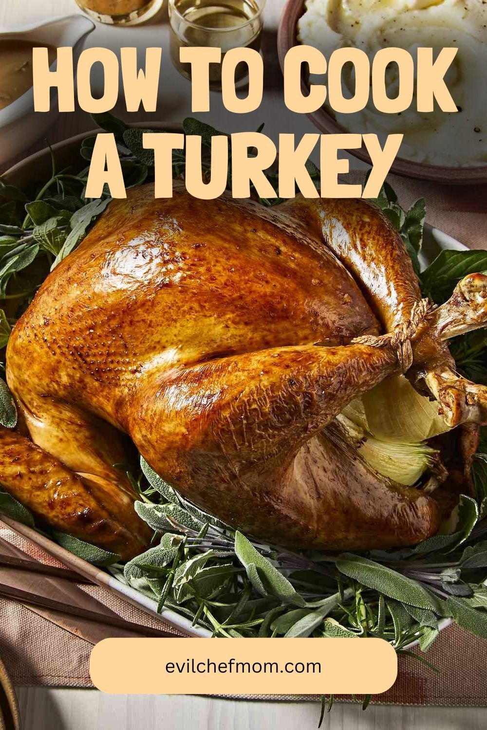 How to Cook a Turkey