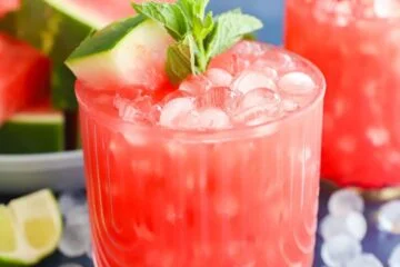 Watermelon Gin Fizz