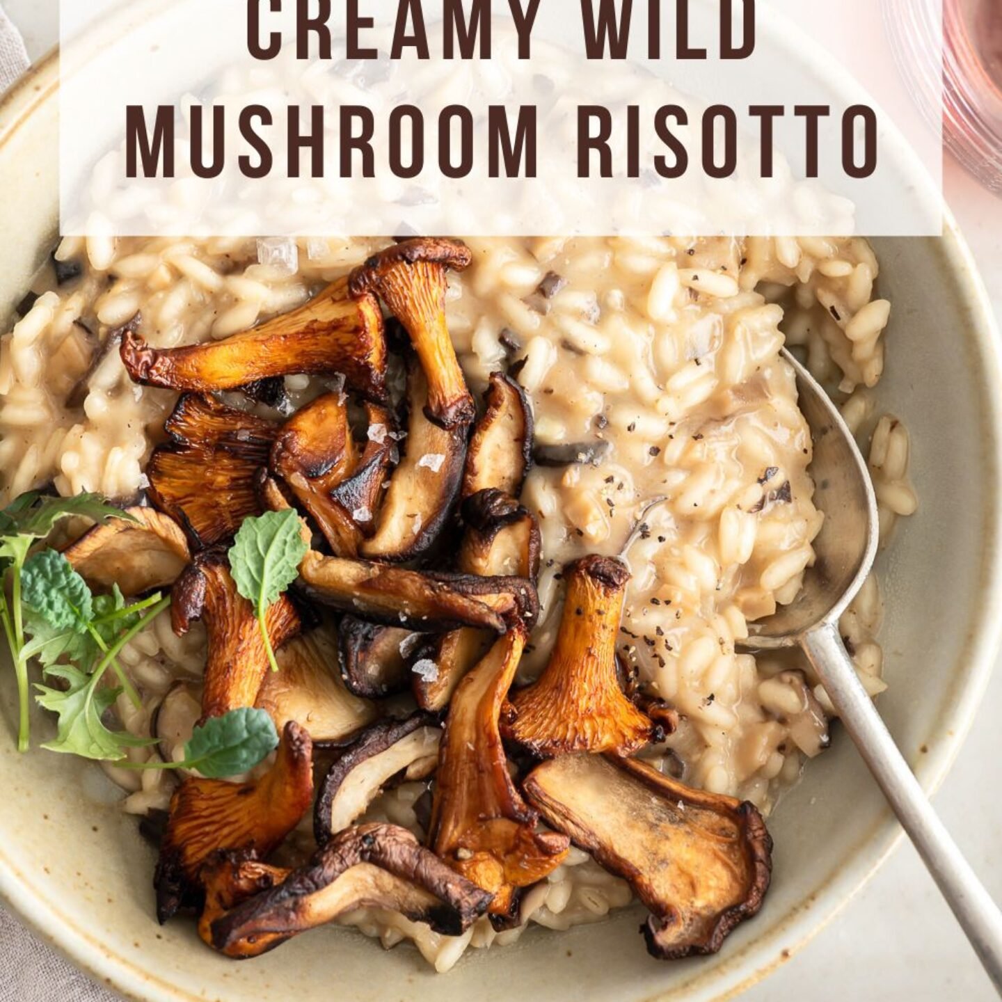Creamy Wild Mushroom Risotto