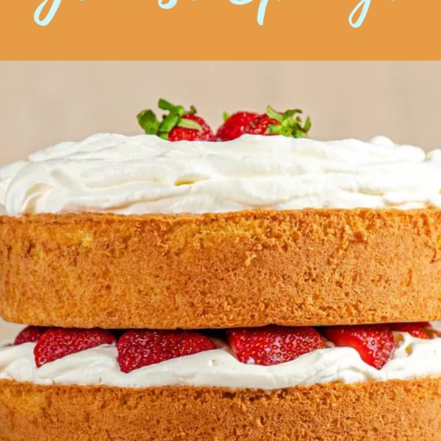 Genoise Sponge