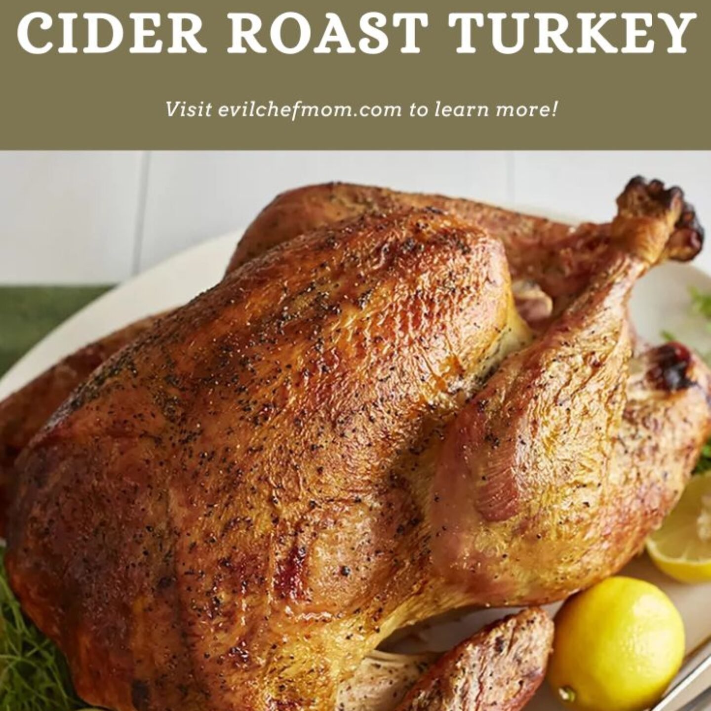 Lauren’s Apple Cider Roast Turkey