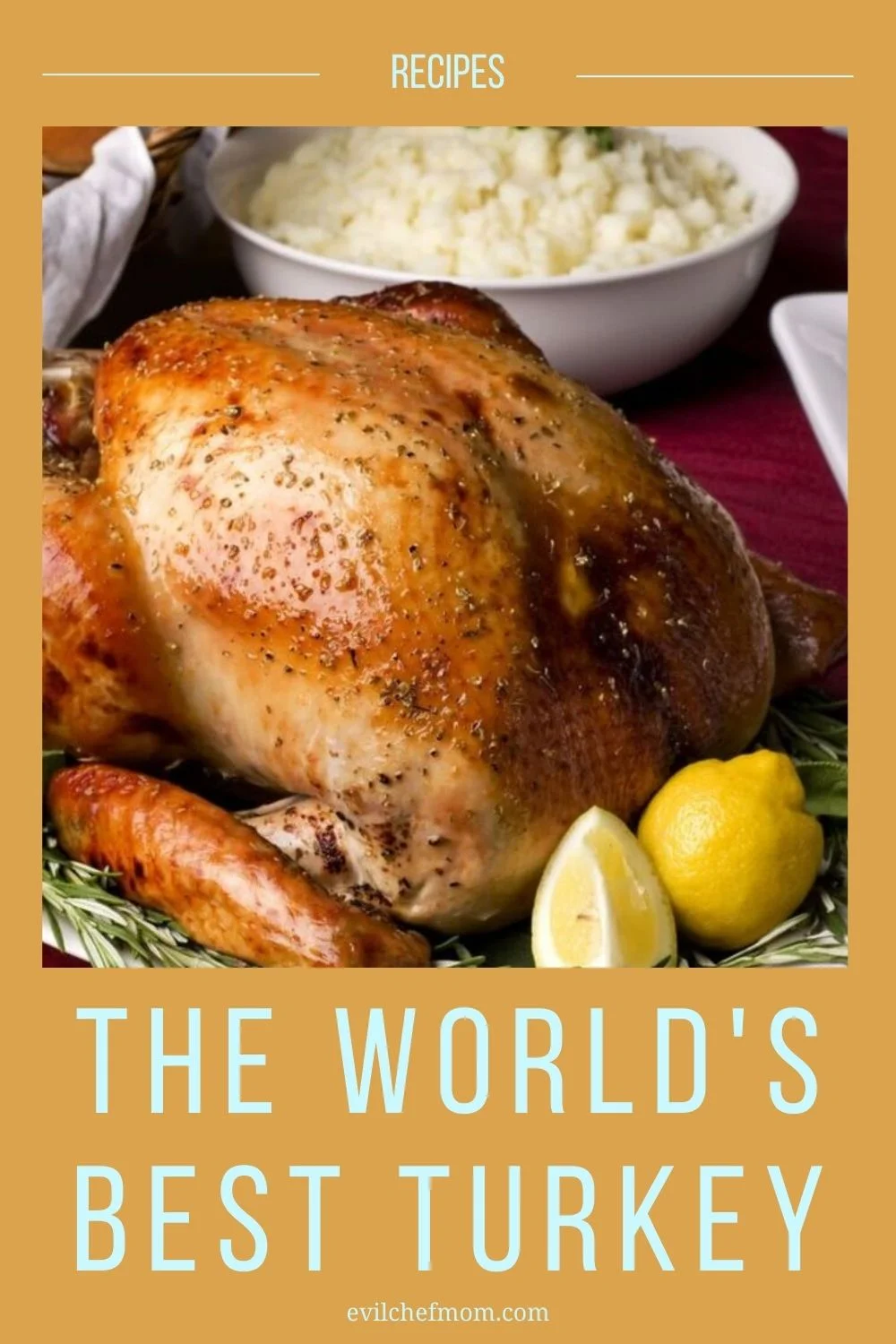 The World's Best Turkey