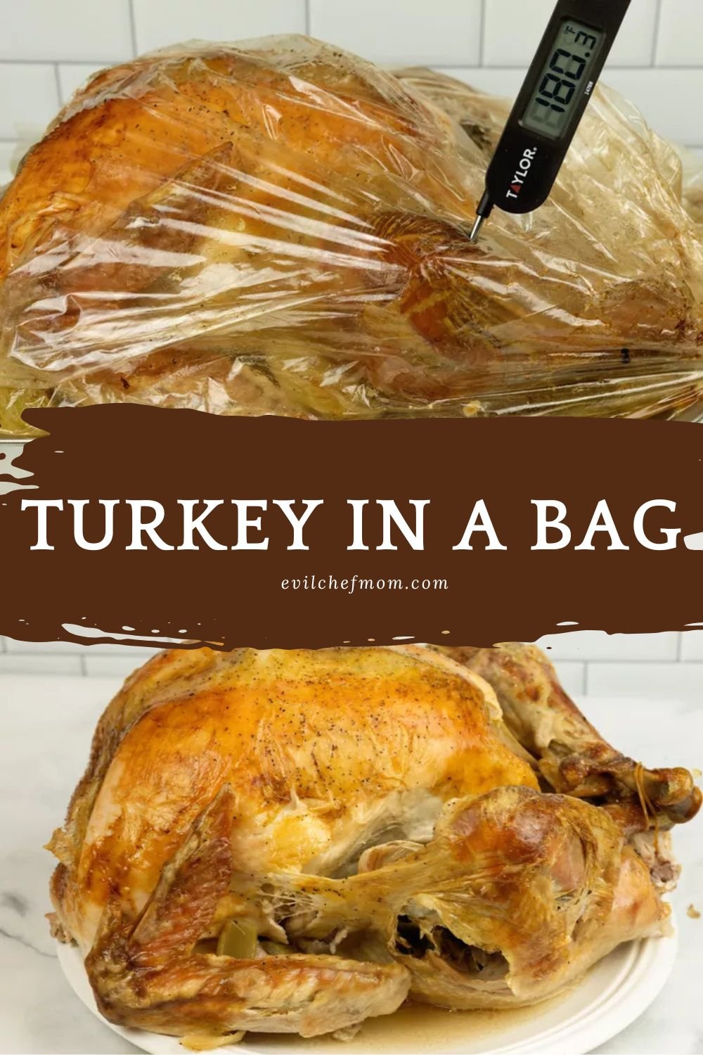 Turkey in a Bag