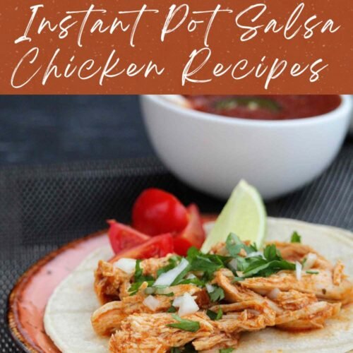 Instant Pot Salsa Chicken Recipes