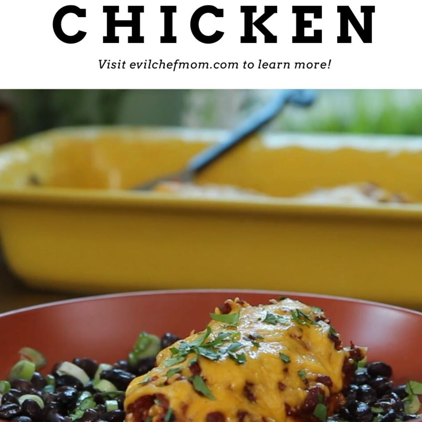 Salsa Chicken