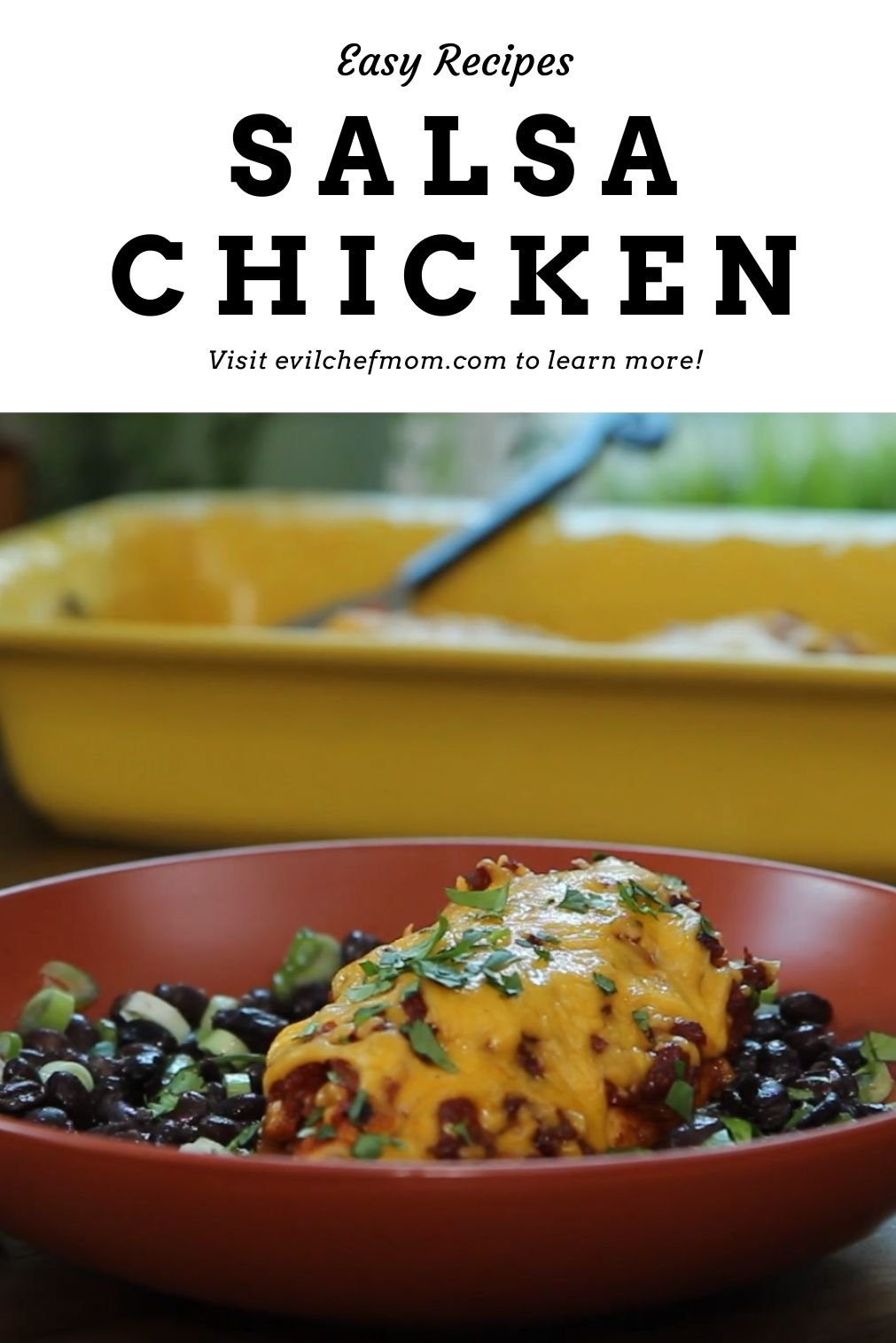 Salsa Chicken