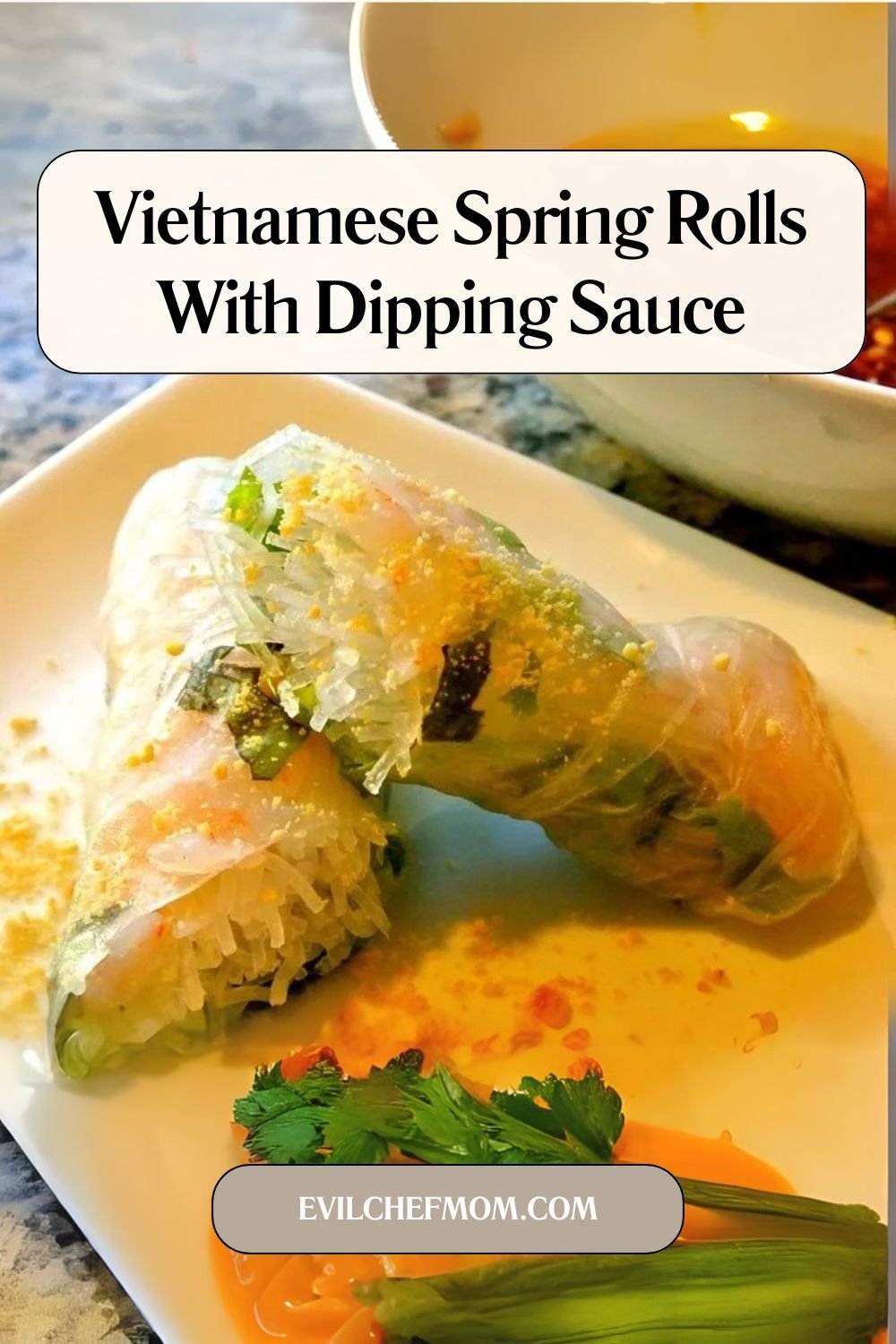 Vietnamese Spring Rolls With Dipping Sauce