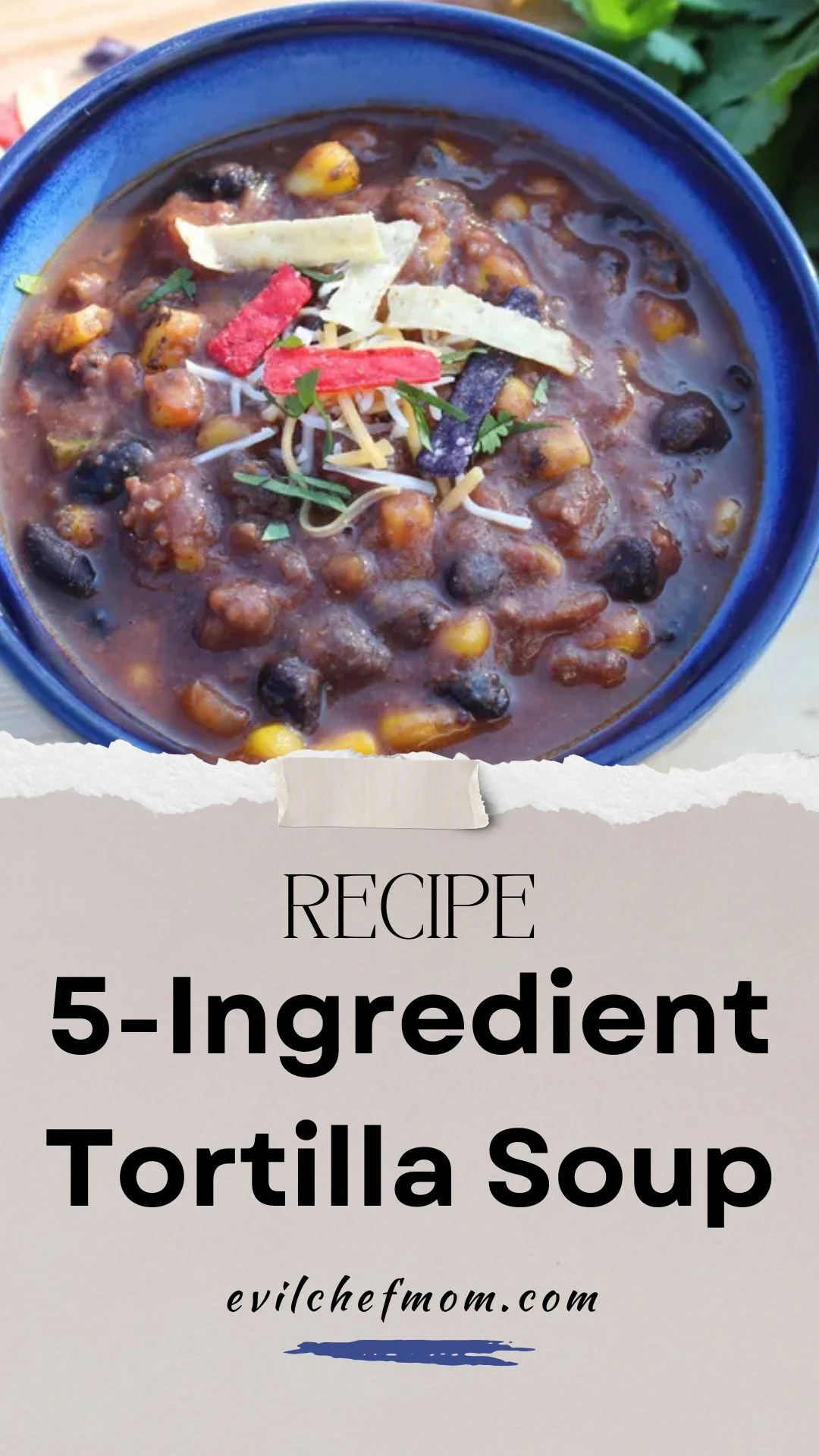 5-Ingredient Tortilla Soup