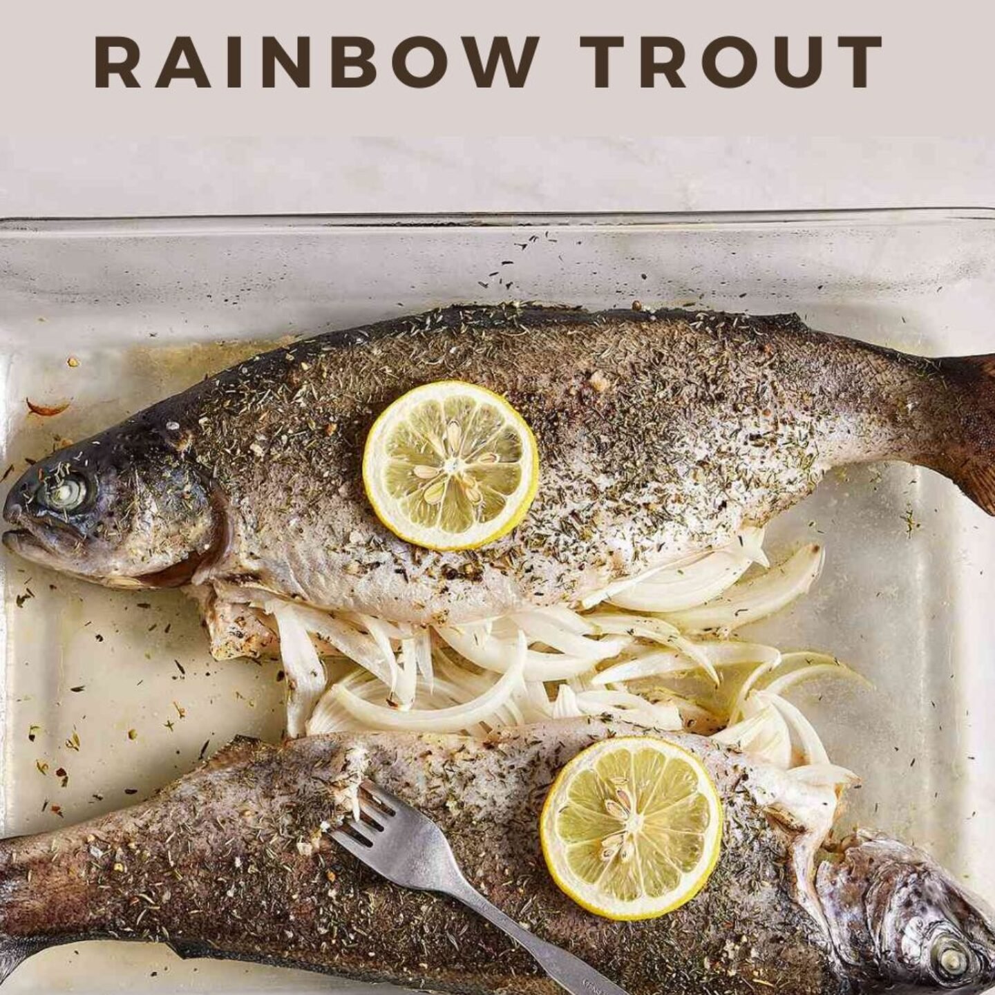 Baked Fresh Rainbow Trout